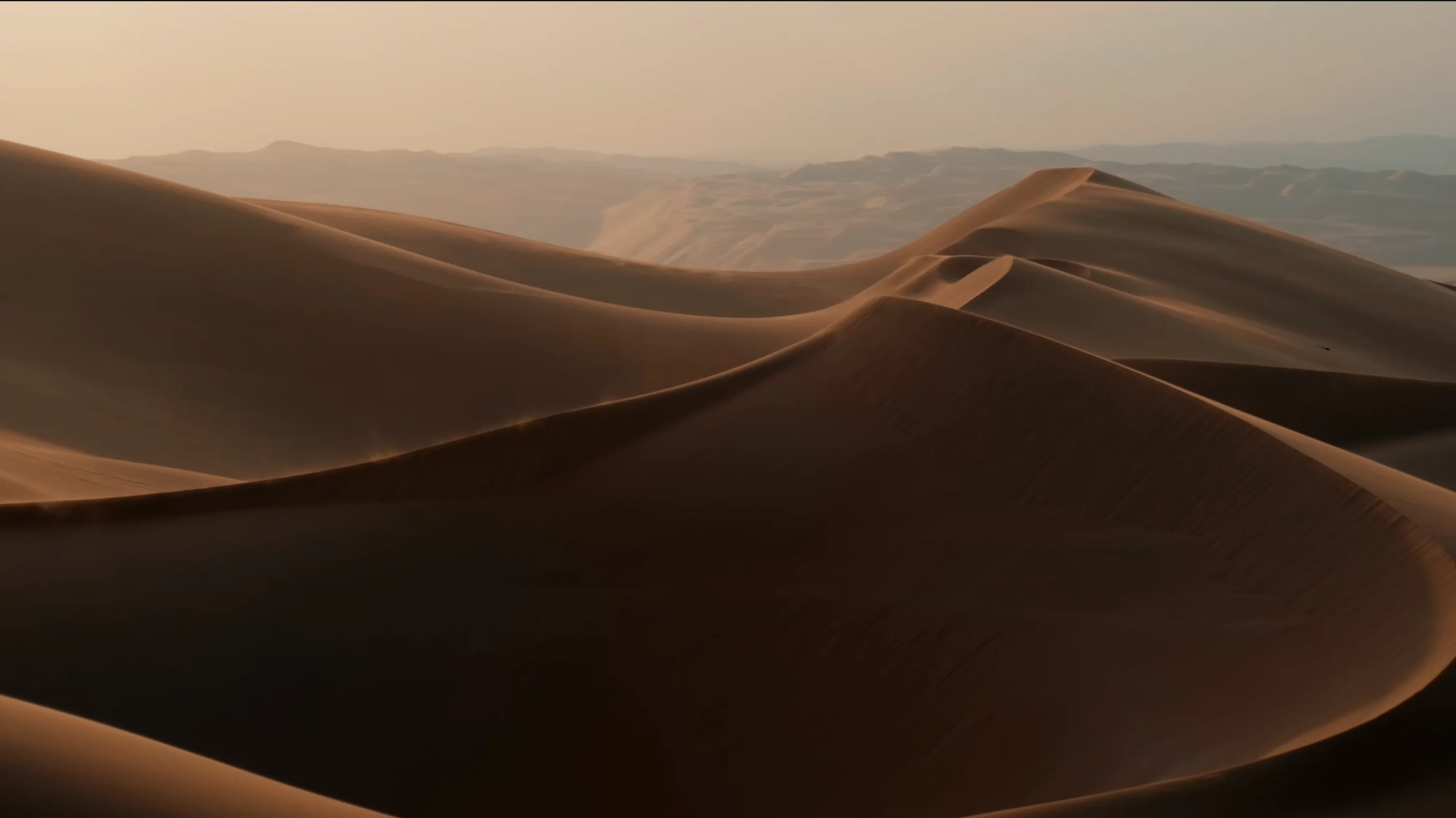 2026 Desert Edition